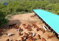 Tharpure Organic Farms