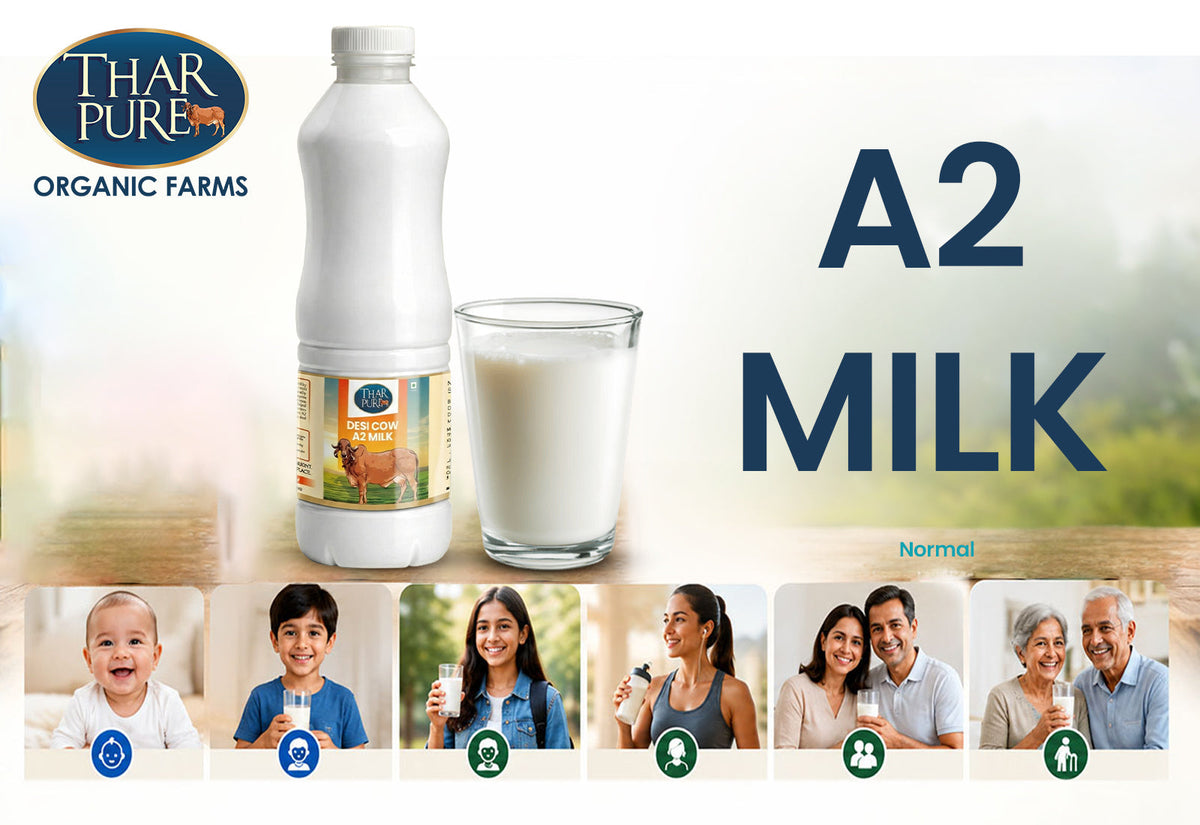 A2 milk for babies