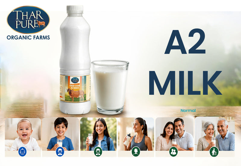 A2 milk for babies