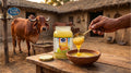 Best Desi Ghee in Delhi