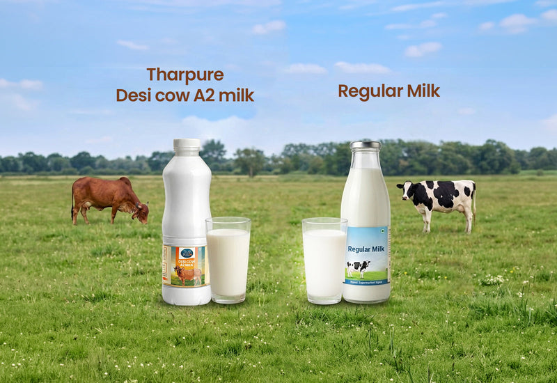 A2 vs A1 Milk