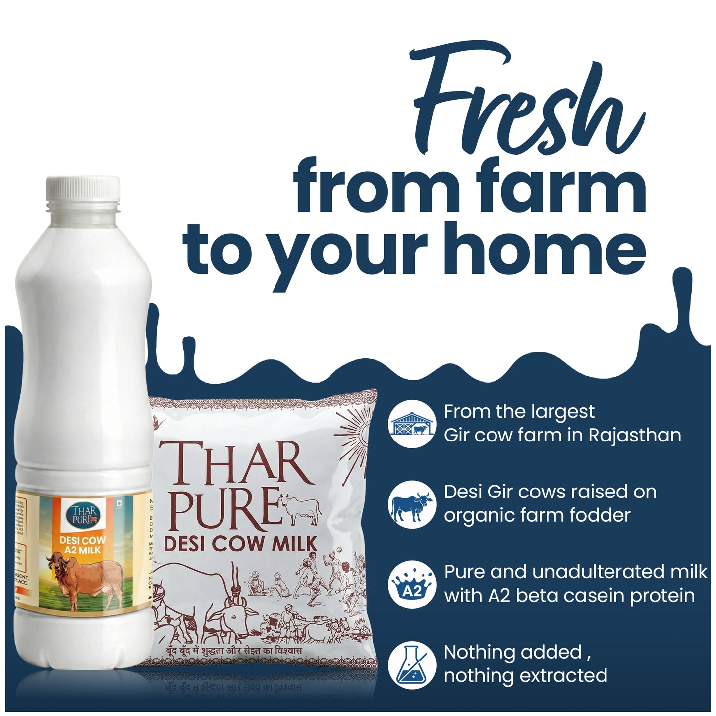 Desi Cow Milk - 500 ML