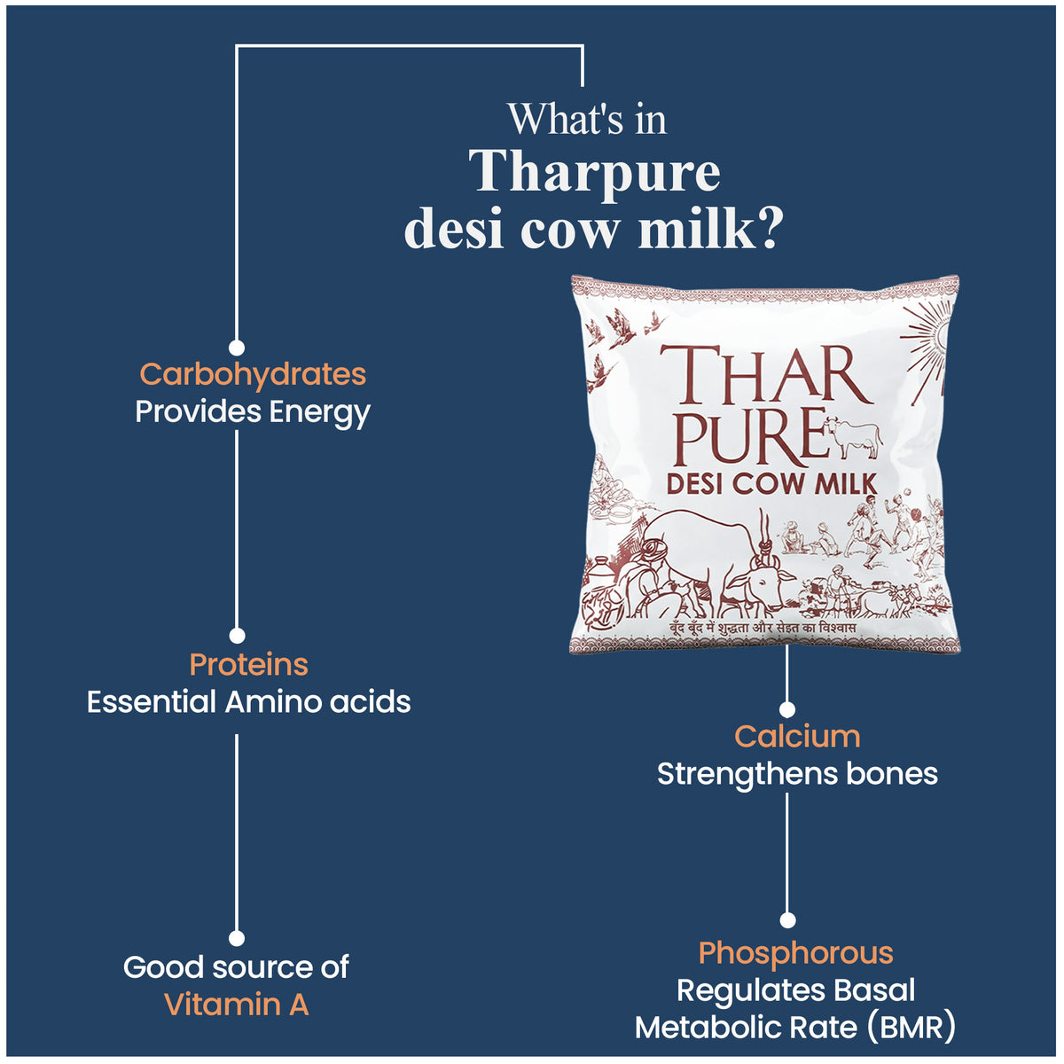 Desi Cow Milk - 500 ML