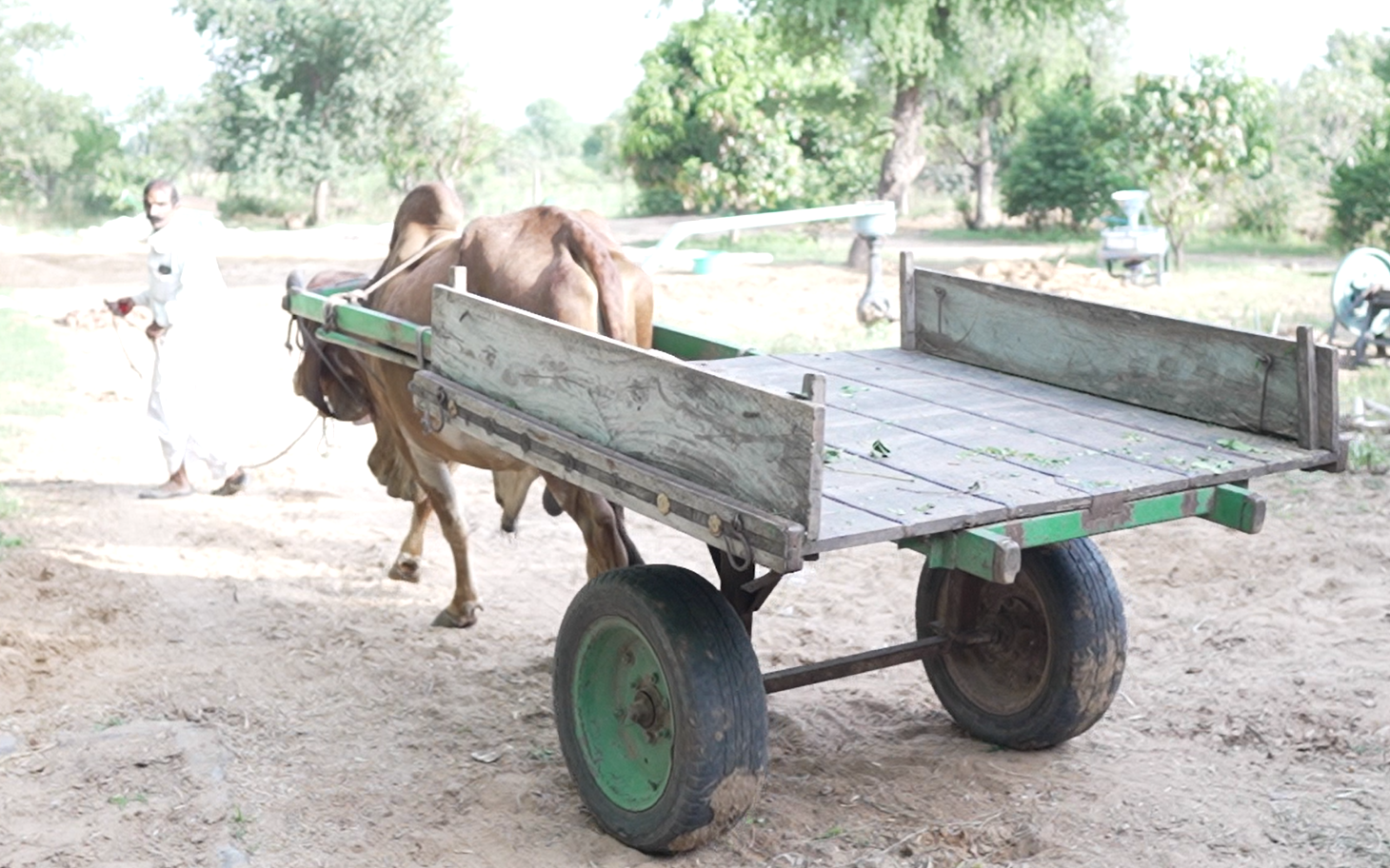 Tharpure farm 