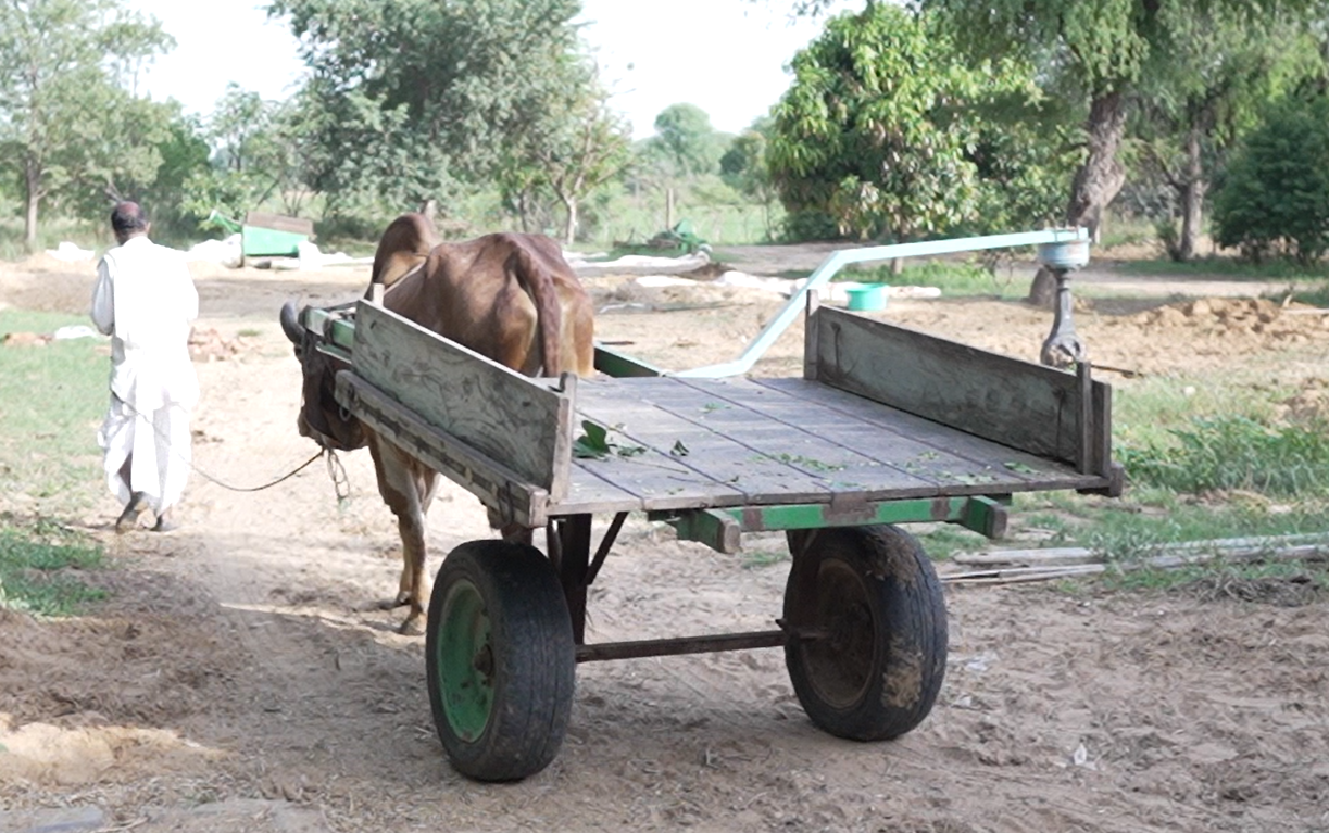 Tharpure farm image
