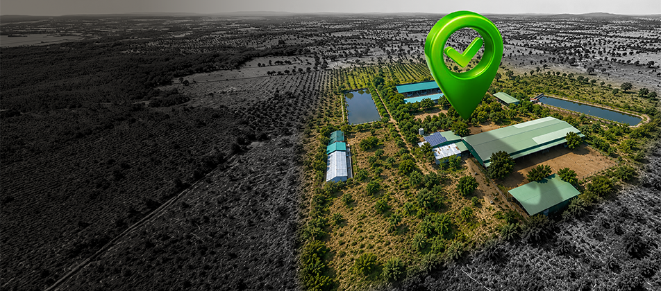 Tharpure Organic Farms – visit our farm in Rajasthan
