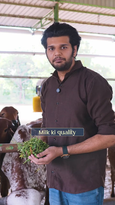 Ankit S. 
